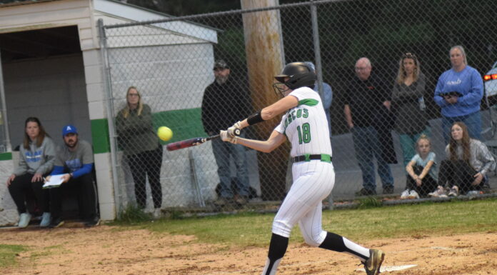 PREP SOFTBALL: Arab tops Holly Pond on the road 5-2