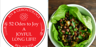 52 ODES TO JOY: A JOYFUL LONG LIFE