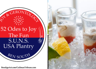 52 ODES TO JOY: THE FUN, S.U.N.S. USA PLANTRY