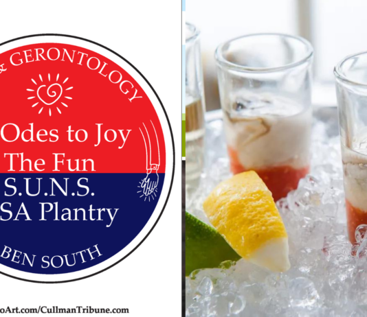 52 ODES TO JOY: THE FUN, S.U.N.S. USA PLANTRY