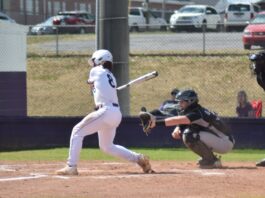 PREP BASEBALL: Fairview drops doubleheader with Decatur Heritage