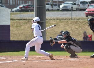 PREP BASEBALL: Fairview drops doubleheader with Decatur Heritage