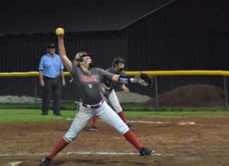 PREP SOFTBALL: Vinemont defeats Fairview on the road 11-4, Aggies fall to Brewer in final frame 4-3
