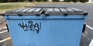 Juvenile subject caught following 29 vandalism incidents