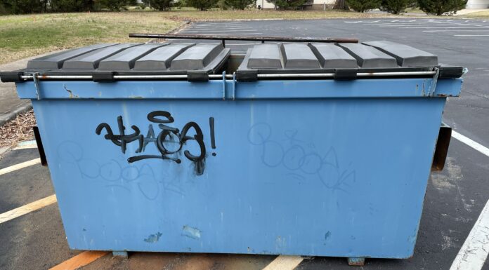 Juvenile subject caught following 29 vandalism incidents