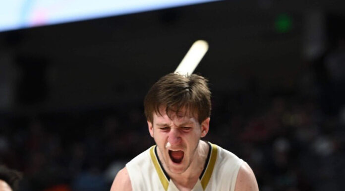 PREP BASKETBALL: ‘This is the stuff we dream about’, Cullman advances to 6A State Finals with 71-55 win over Park Crossing