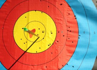 ARCHERY: Vinemont High, Vinemont Middle, East Elementary claim county championships