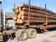 Don’t be stumped by the 2022 timber market