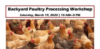 North Alabama Agriplex hosting a backyard poultry processing workshop this Saturday
