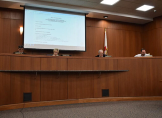 Cullman City Council looks forward to busy spring