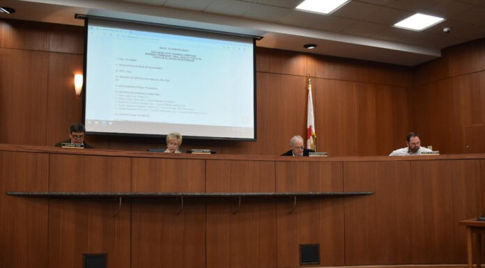 Cullman City Council looks forward to busy spring