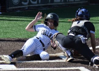 PREP SOFTBALL: Cullman slides past Etowah 10-0