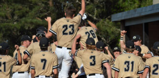 PREP BASEBALL PLAYOFFS: Cullman handles Shades Valley to advance; round 1 scoring recap