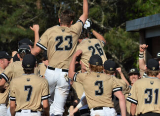 PREP BASEBALL PLAYOFFS: Cullman handles Shades Valley to advance; round 1 scoring recap