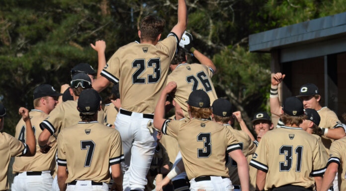 PREP BASEBALL PLAYOFFS: Cullman handles Shades Valley to advance; round 1 scoring recap