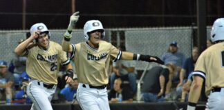PREP BASEBALL PLAYOFFS: Cullman splits Friday matchups with Chelsea, game 3 set for Saturday