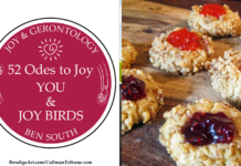 52 ODES TO JOY: YOU & JOY BIRDS