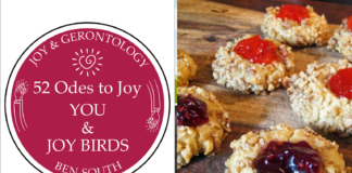 52 ODES TO JOY: YOU & JOY BIRDS