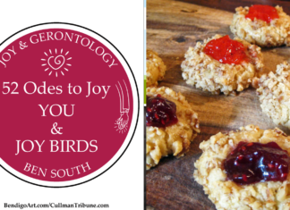 52 ODES TO JOY: YOU & JOY BIRDS