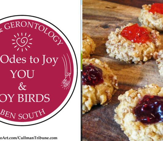 52 ODES TO JOY: YOU & JOY BIRDS