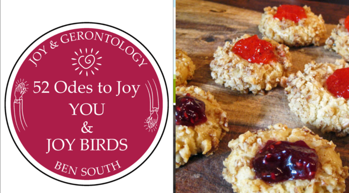 52 ODES TO JOY: YOU & JOY BIRDS