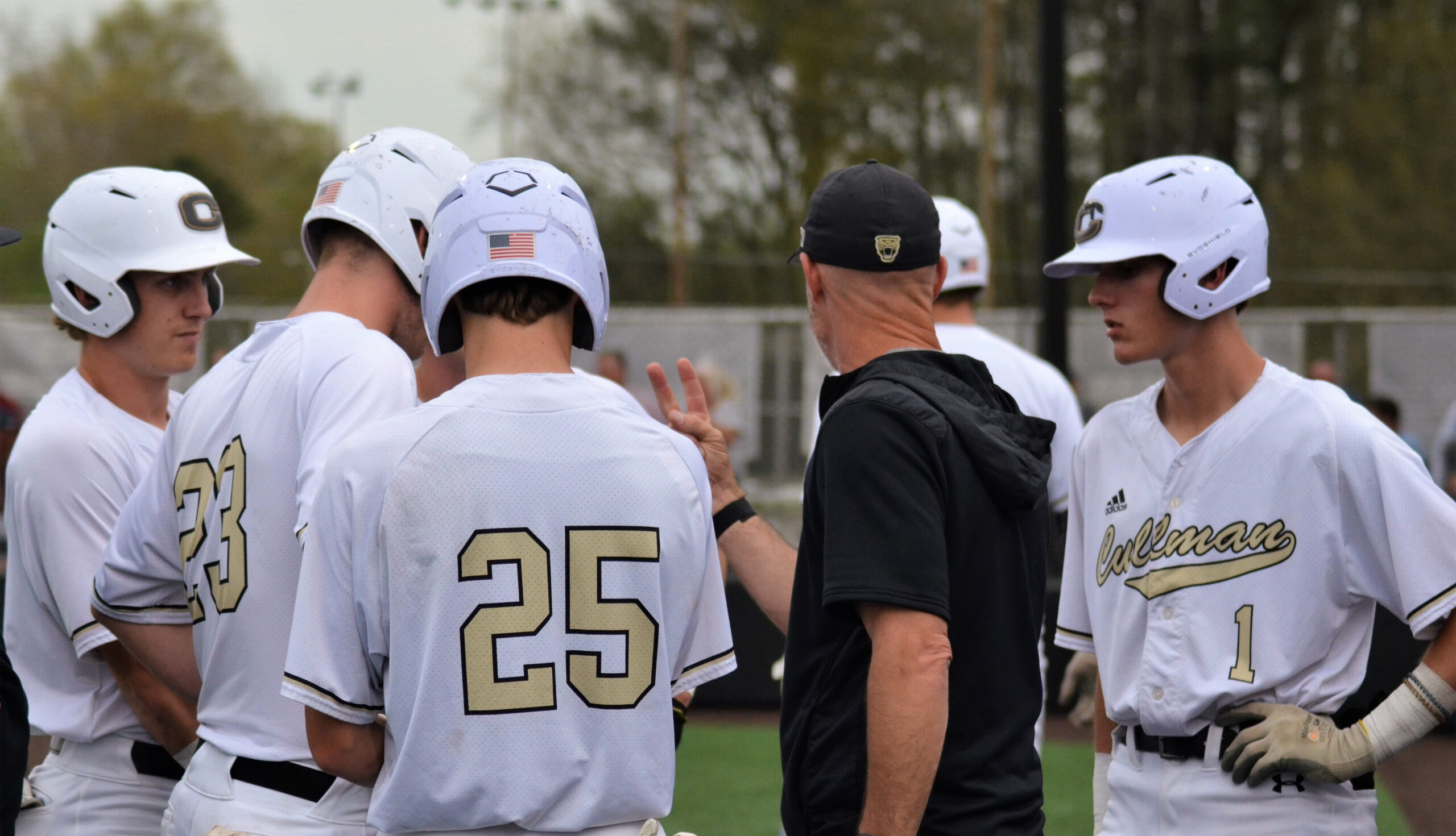 PREP BASEBALL: ‘Cats fall to No. 1 Hartselle 13-3
