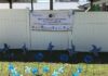 The Link ‘sounds off sirens’ in honor of Child Abuse and Neglect Prevention Month