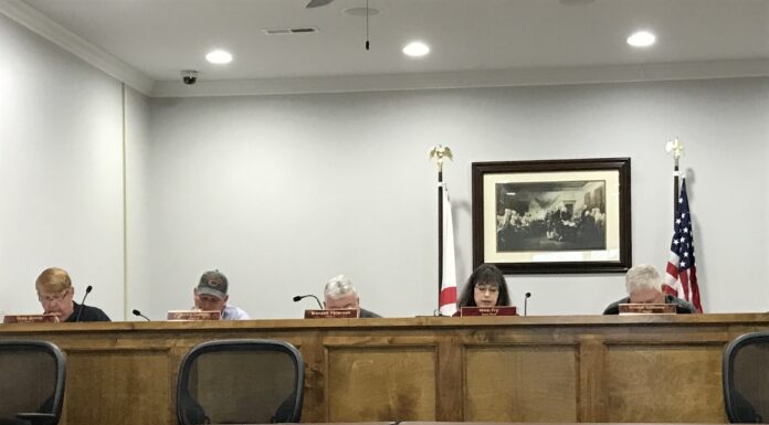 Baileyton Town Council sets Family Fun Day for May 28