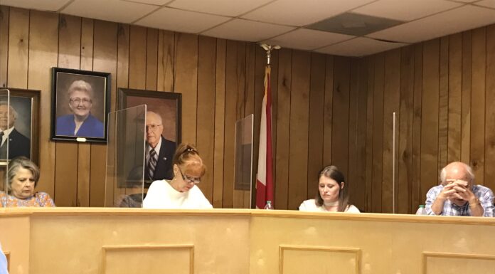 Vinemont Town Council sets meeting to address concerns at Vinemont Estates