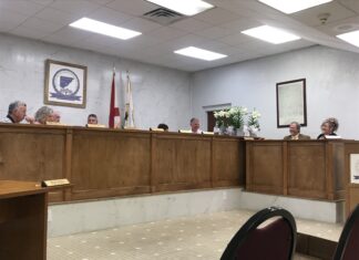 Hanceville City Council plans to acquire lots to extend C.W. Day Park