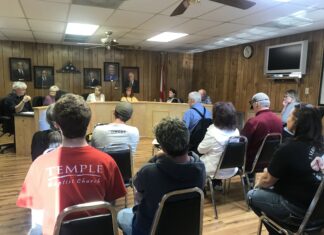 Vinemont council holds business license hearing for Vinemont Estates