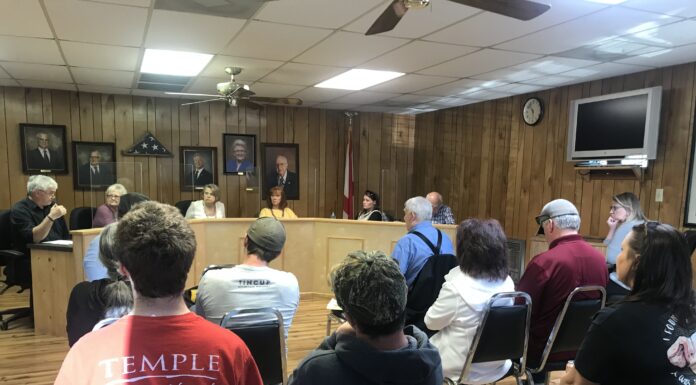 Vinemont council holds business license hearing for Vinemont Estates