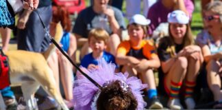 2nd Annual Doggy Pawgeant taking place at Strawberry Festival May 7