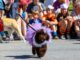 2nd Annual Doggy Pawgeant taking place at Strawberry Festival May 7