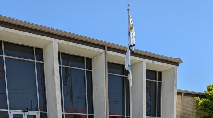 Cullman Tree Commission purchases 50 trees to honor former chairman Everett Wier