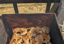 Cullman County Home Builders Association raises money for local student scholarship fund