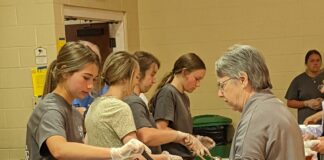 Something to celebrate