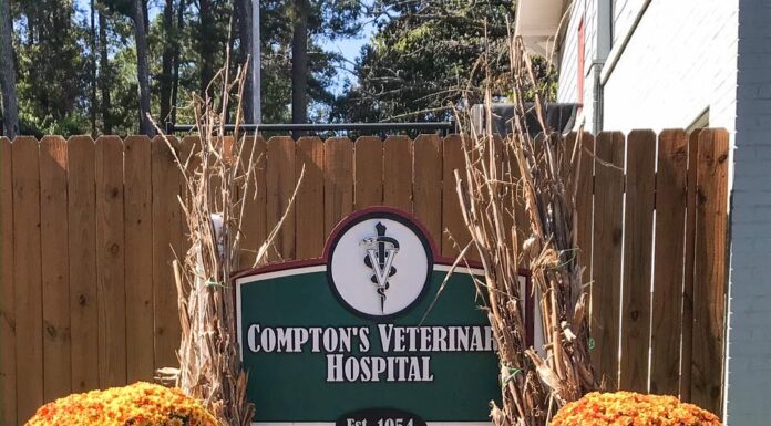 Compton’s Veterinary Hospital launches new appointment system