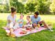Learn to be a picnic pro