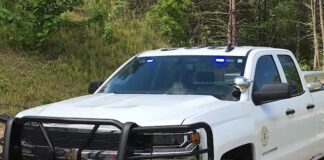 Jones Chapel woman dies from dog attack