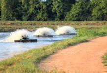 Alabama’s booming catfish industry ranked #2 in U.S.