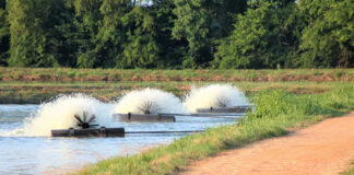 Alabama’s booming catfish industry ranked #2 in U.S.