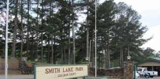 Local swimming incident shared through a diver’s eyes