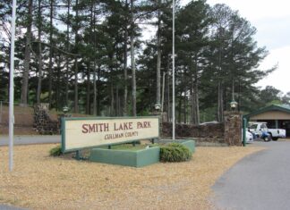 Local swimming incident shared through a diver’s eyes