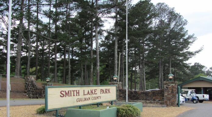 Local swimming incident shared through a diver’s eyes