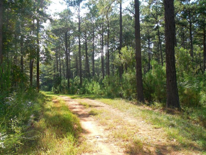 Chapter-13-cover-image-scaled