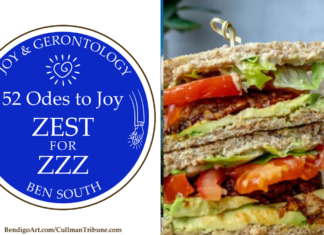 52 ODES TO JOY: ZEST FOR ZZZ