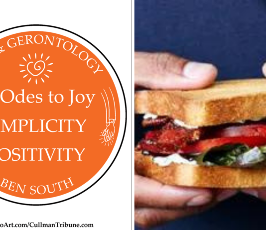 52 ODES TO JOY: SIMPLICITY POSITIVITY