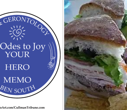 52 ODES TO JOY: YOUR HERO MEMO