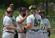 AREA SOFTBALL TOURNAMENT: Hill’s walk-off leads Holly Pond past Susan Moore 5-3 in extra innings